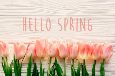 Spring is in FULL BLOOM